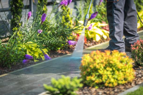 Best Fence Cleaning  in Folsom, NJ