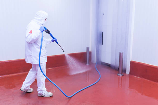 Best Pre-Holiday Cleaning  in Folsom, NJ