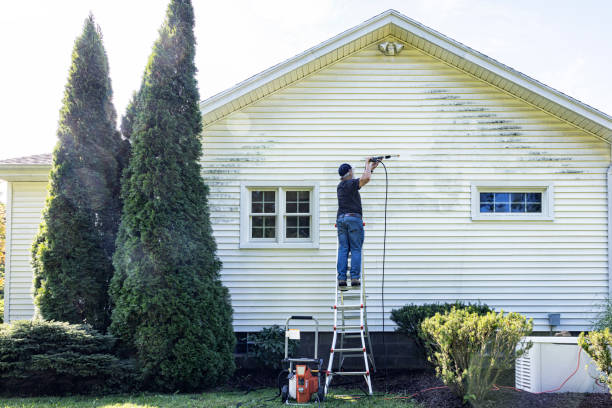 Best Building Exterior Washing  in Folsom, NJ